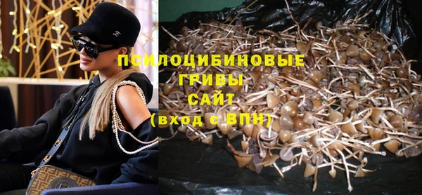синтетический гашиш Алексин