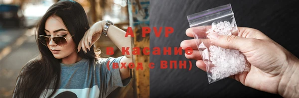 твердый Абаза