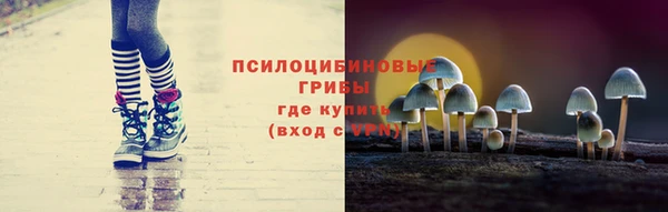 синтетический гашиш Алексин