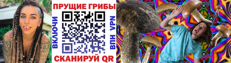 где купить Мантурово Галлюциногенные грибы Cubensis