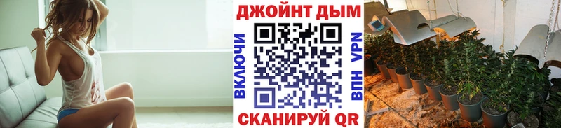 Канабис сатива  Мантурово 